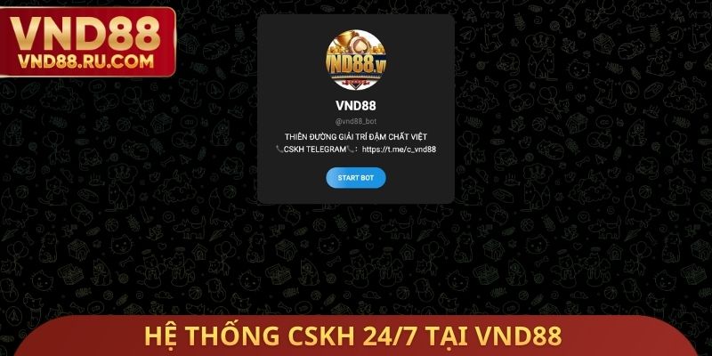 Hệ thống CSKH 24/7 tại VND88