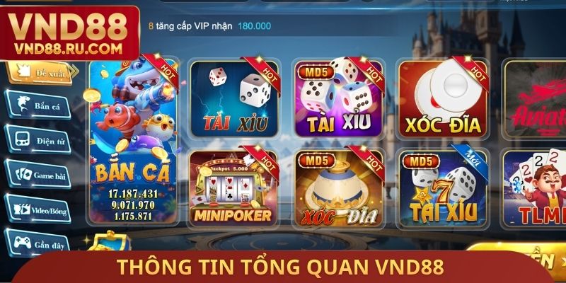 Thông tin tổng quan VND88