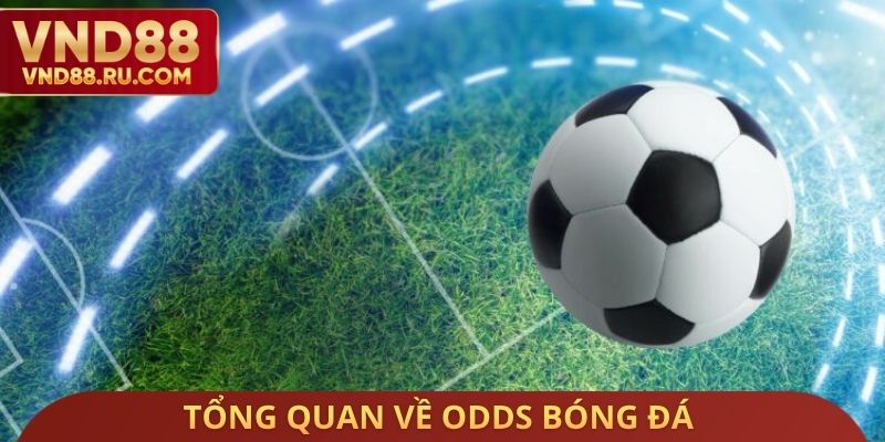 Tổng quan về odds bóng đá